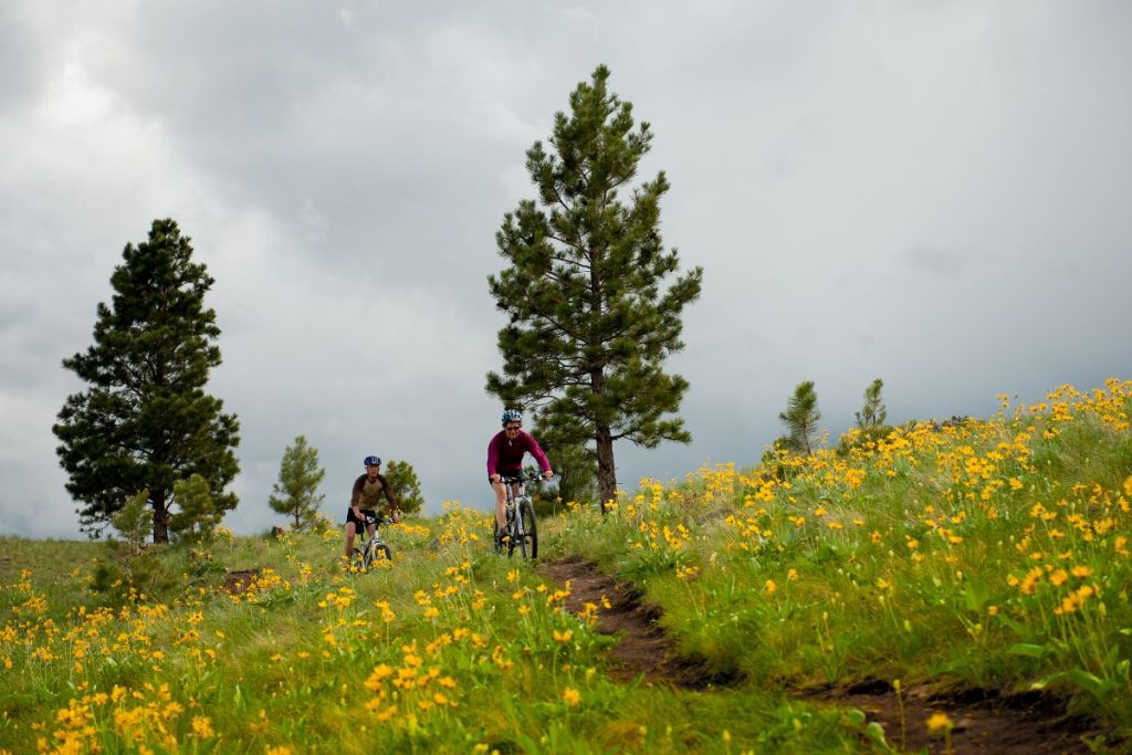 Bikers and beautiful trees suround