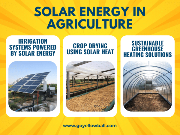 solar-energy-in-agriculture