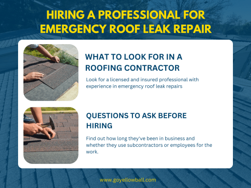 professional-for-emergency-rook-leak-repair