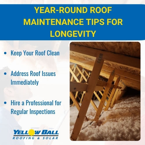 roof maintenance tips for longevity for year